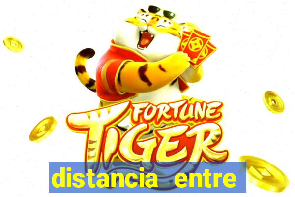 distancia entre porto alegre e pelotas